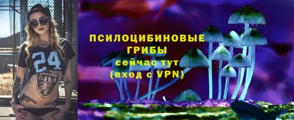 марки lsd Богданович