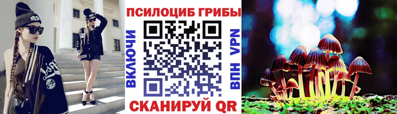 Купить  Жуковка  Галлюциногенные грибы MAGIC MUSHROOMS 